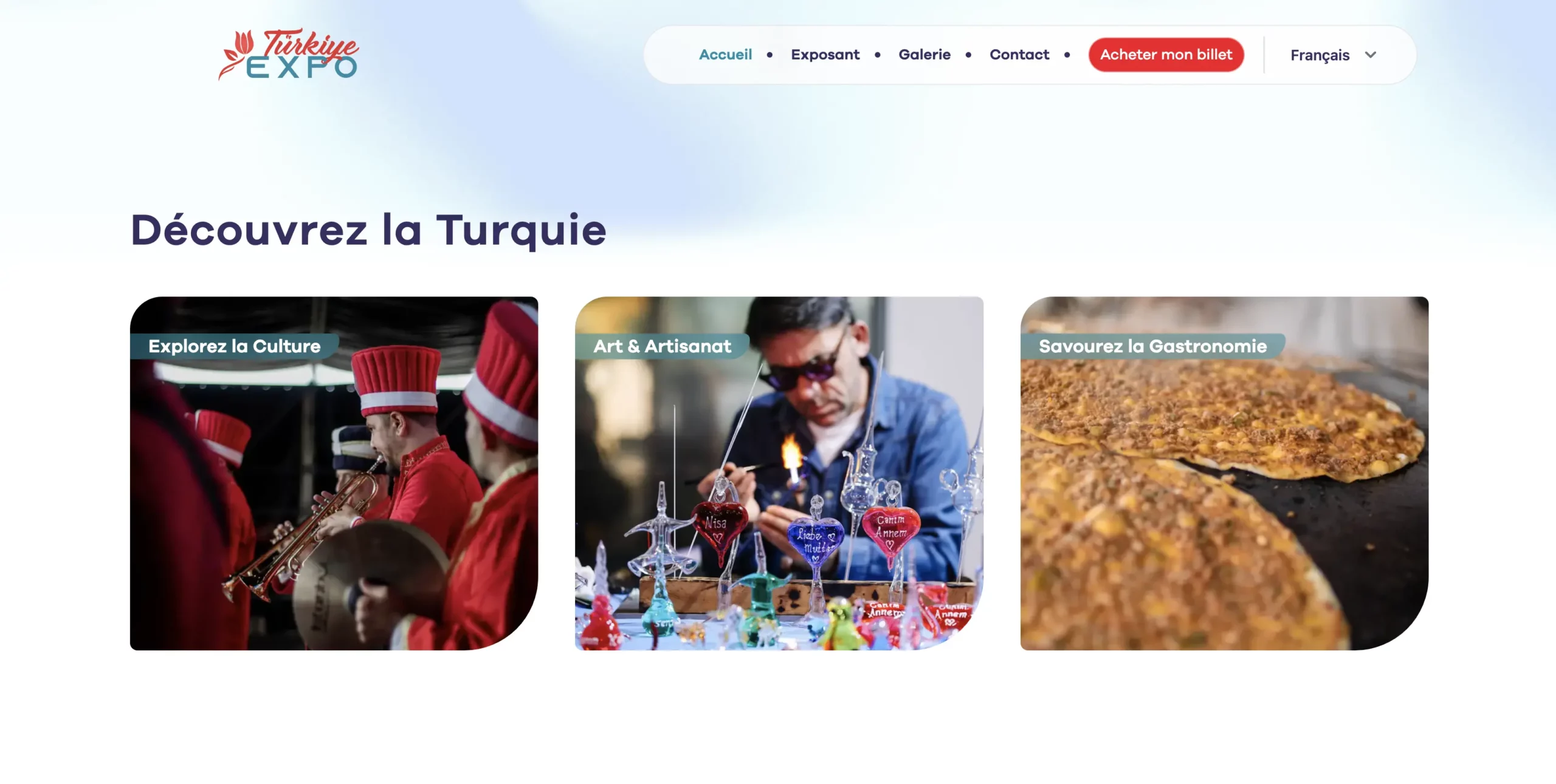 turkiyeExpo_apropos2